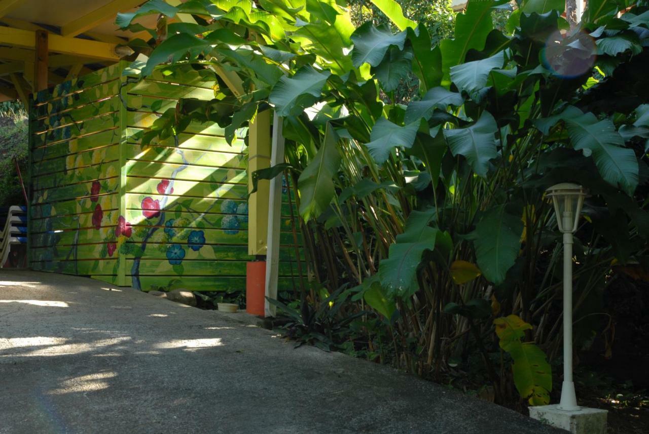 Green House Deshaies Extérieur photo
