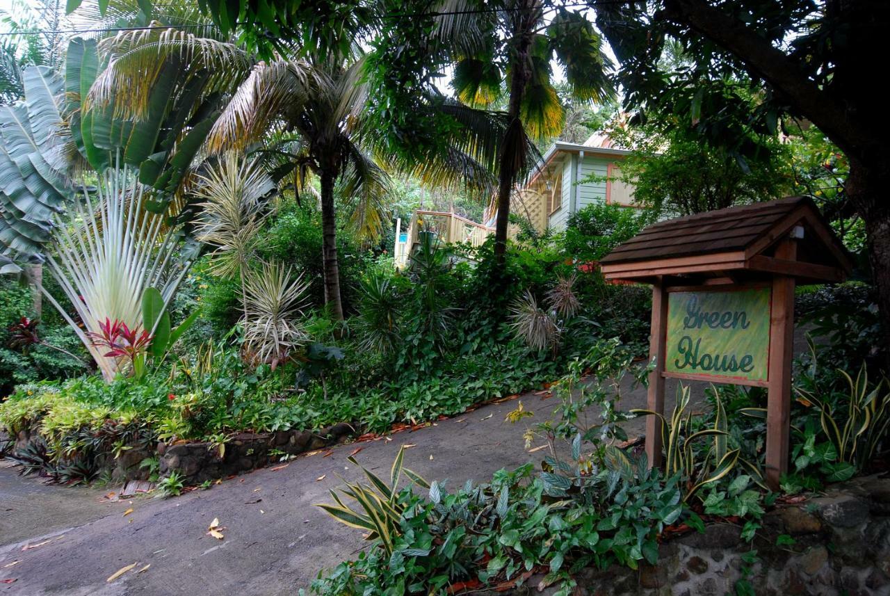 Green House Deshaies Extérieur photo